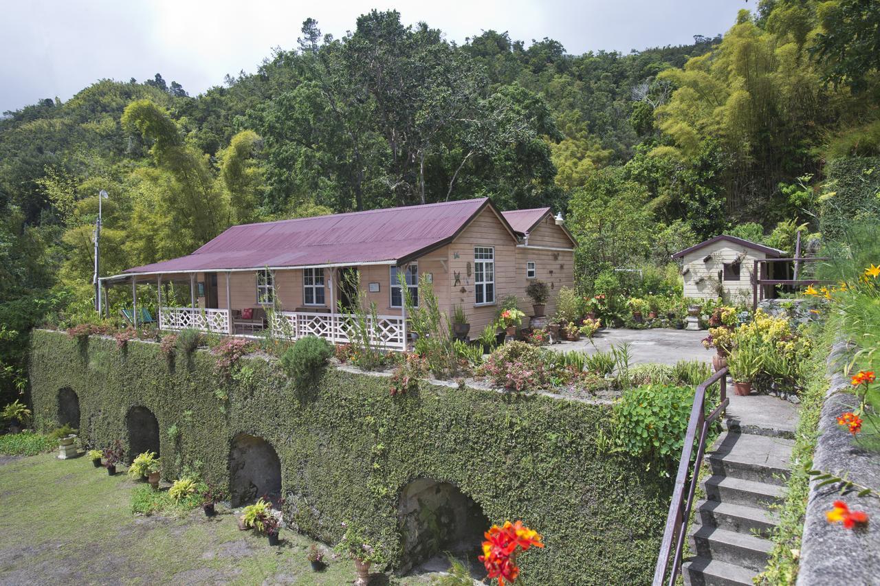 Barbecue Heritage Gardens Cottage - Jm Newcastle Kültér fotó